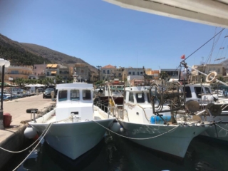 Manias sea food tavern Kalymnos - Daily catch