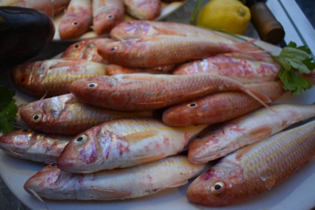 Manias fish tavern in Kalymnos - Kalymnos seafood