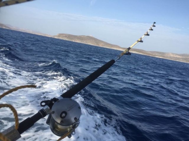 Kalymnos daily fishing cruises